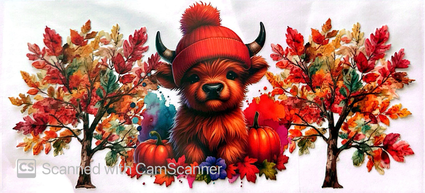 16oz Catalogue Design #293