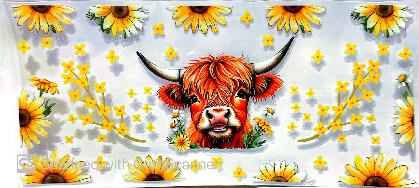 16oz Catalogue Design #265