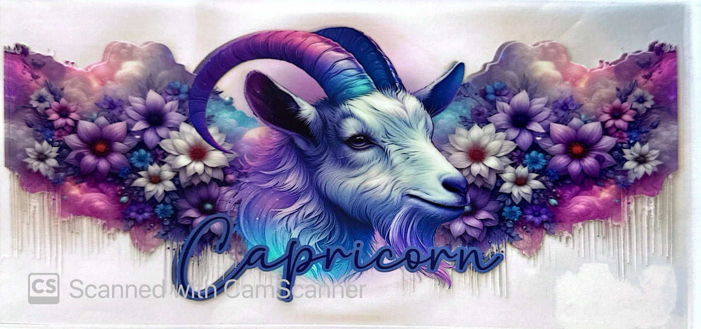 16oz Catalogue Design #479