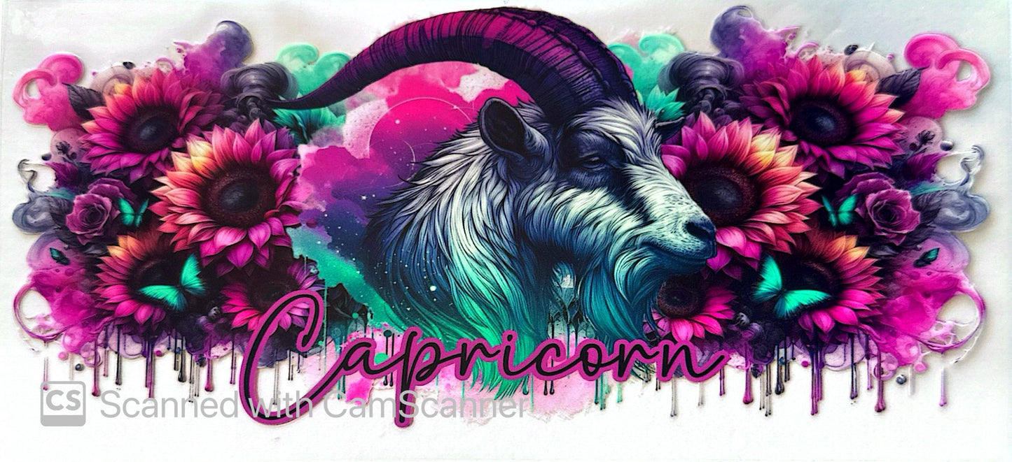 16oz Catalogue Design #474