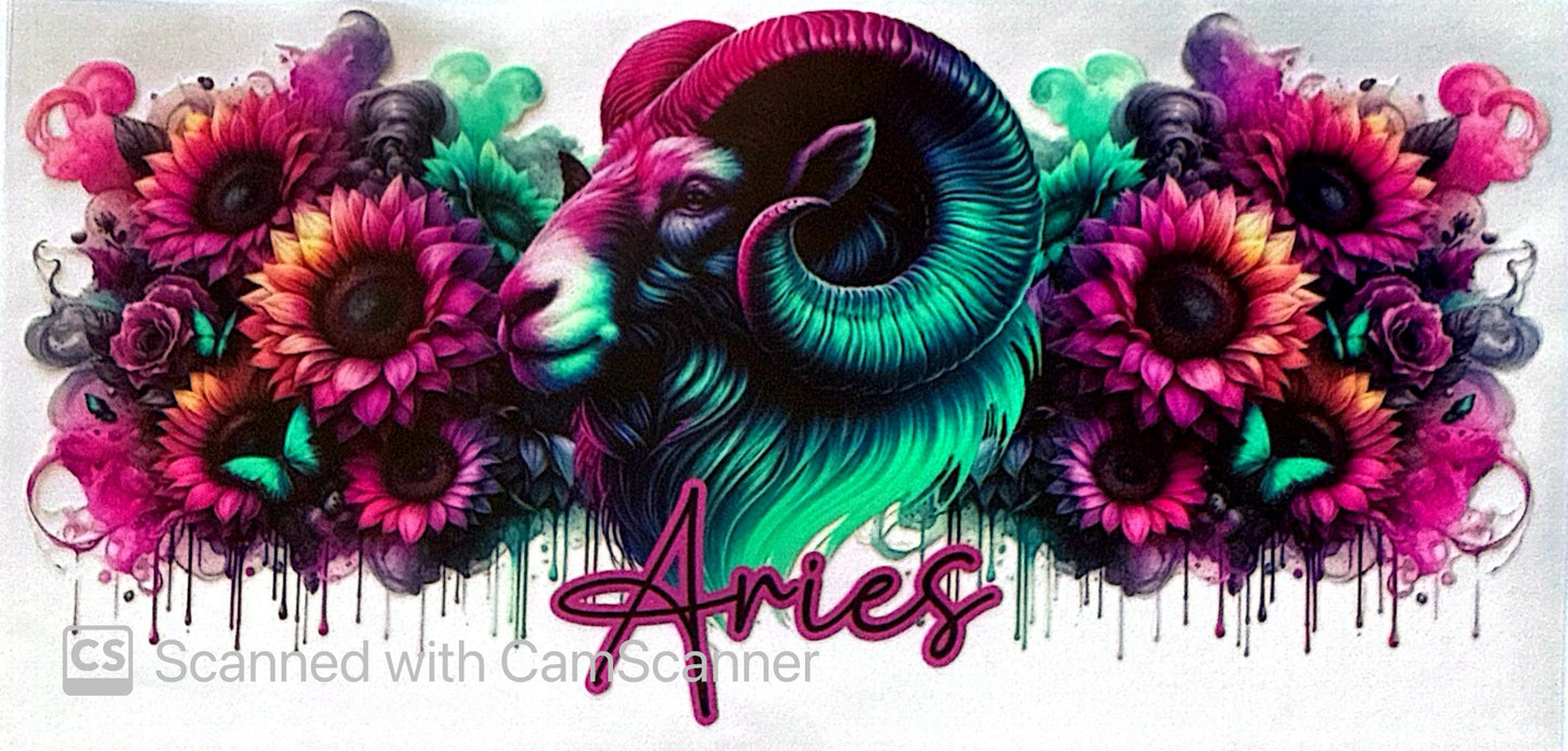 16oz Catalogue Design #475