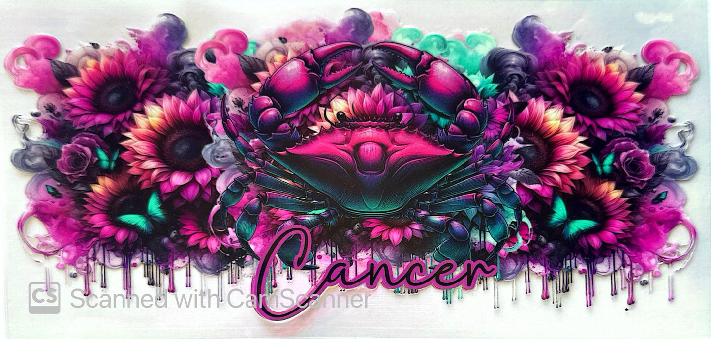 16oz Catalogue Design #460