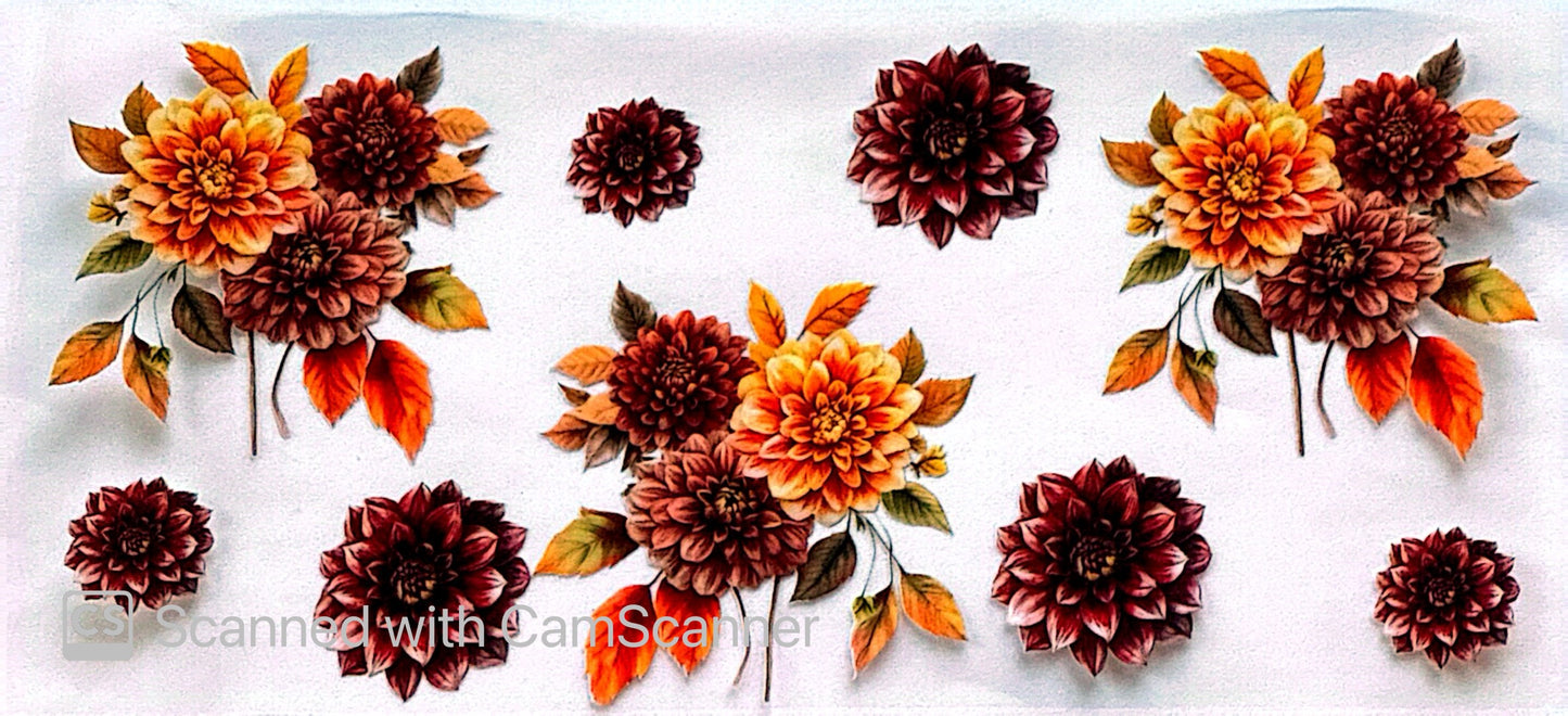 16oz Catalogue Design #532