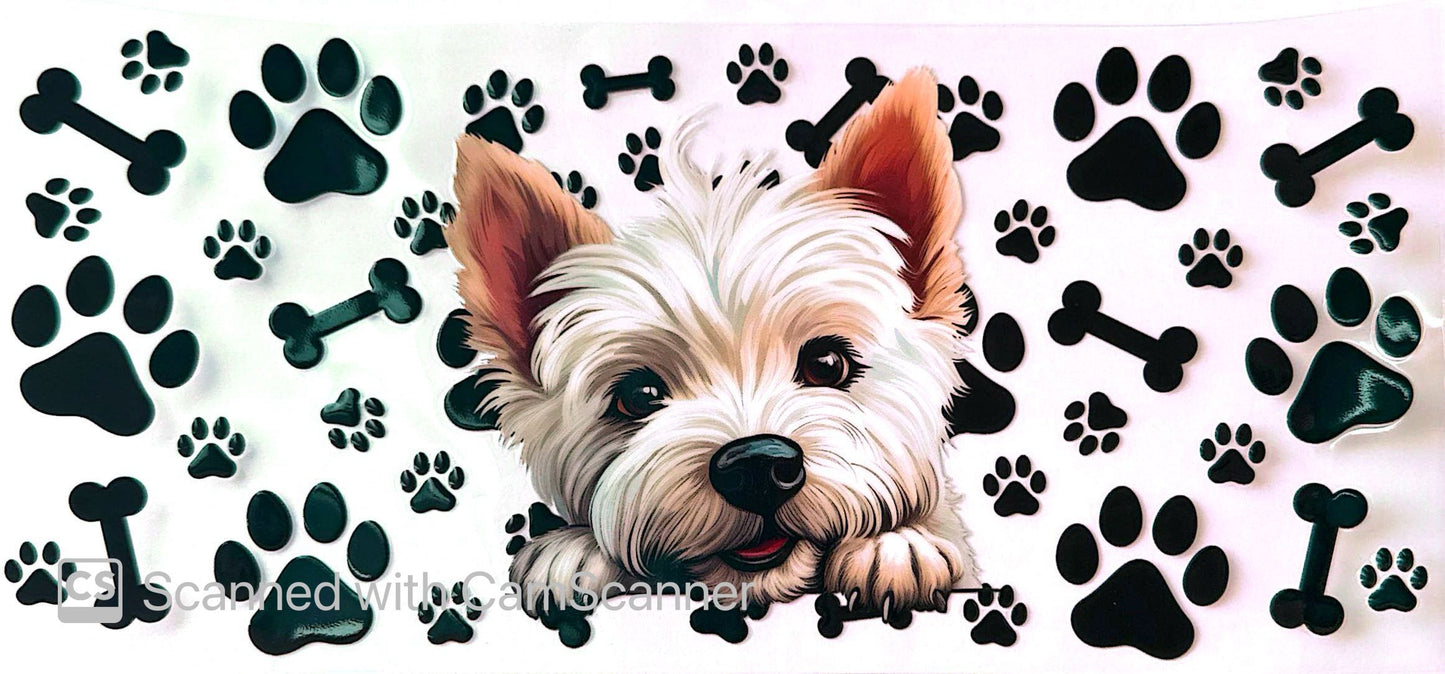 16oz Catalogue Design #358