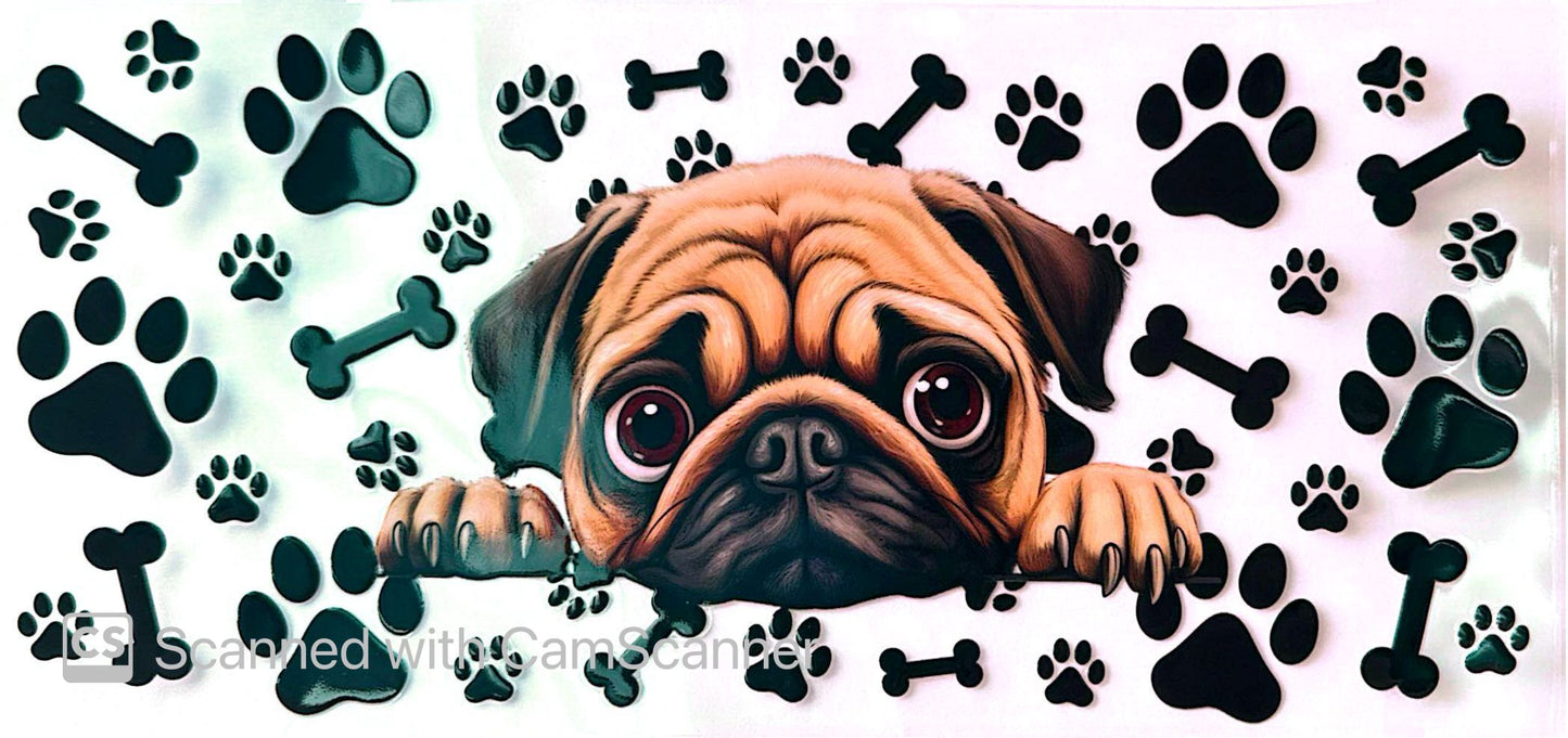 16oz Catalogue Design #355