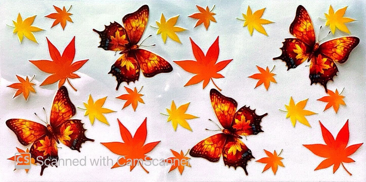 16oz Catalogue Design #610