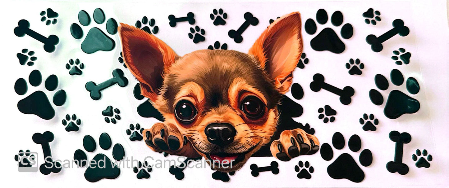 16oz Catalogue Design #365