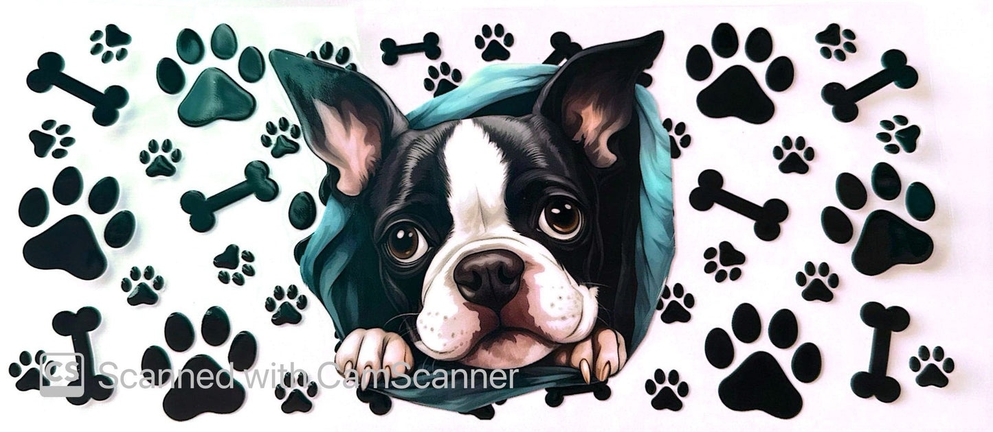 16oz Catalogue Design #363