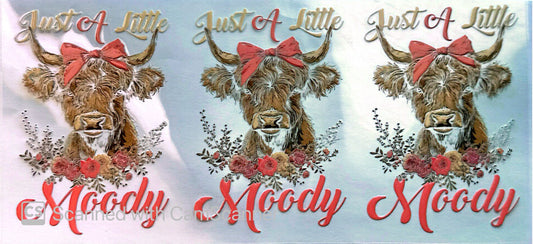 16oz Catalogue Design #301