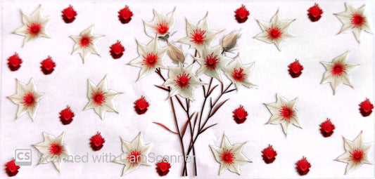 16oz Catalogue Design #239