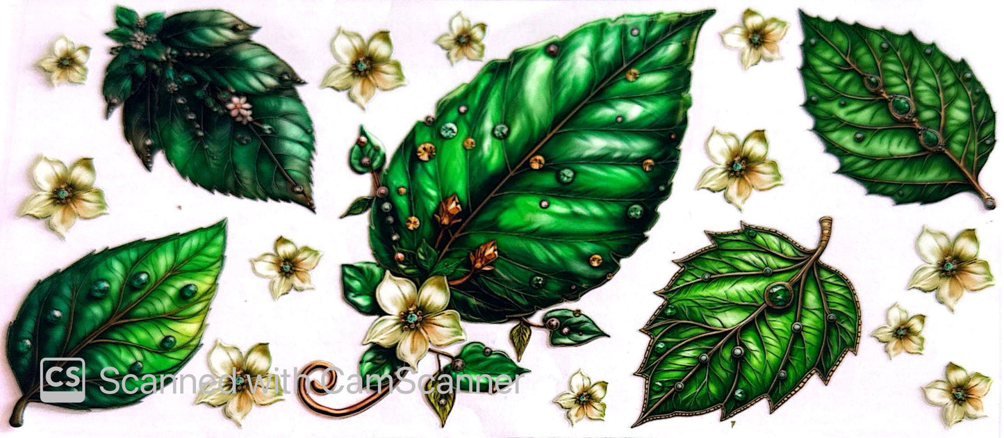 16oz Catalogue Design #238