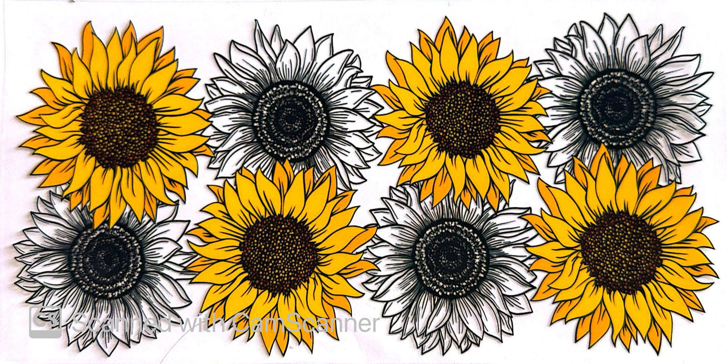 16oz Catalogue Design #232