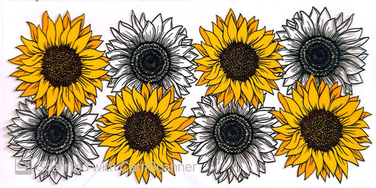 16oz Catalogue Design #232