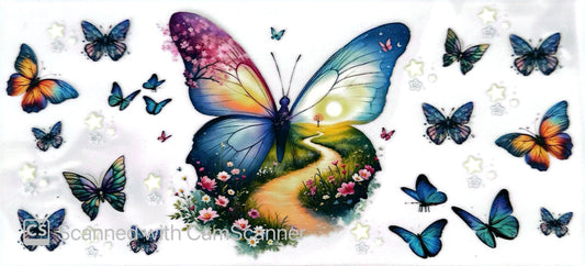 16oz Catalogue Design #246