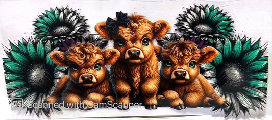 16oz Catalogue Design #266