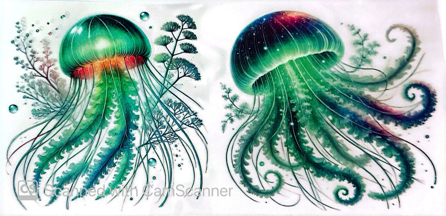 16oz Catalogue Design #211