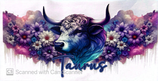 16oz Catalogue Design #471