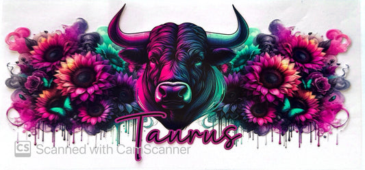 16oz Catalogue Design #476