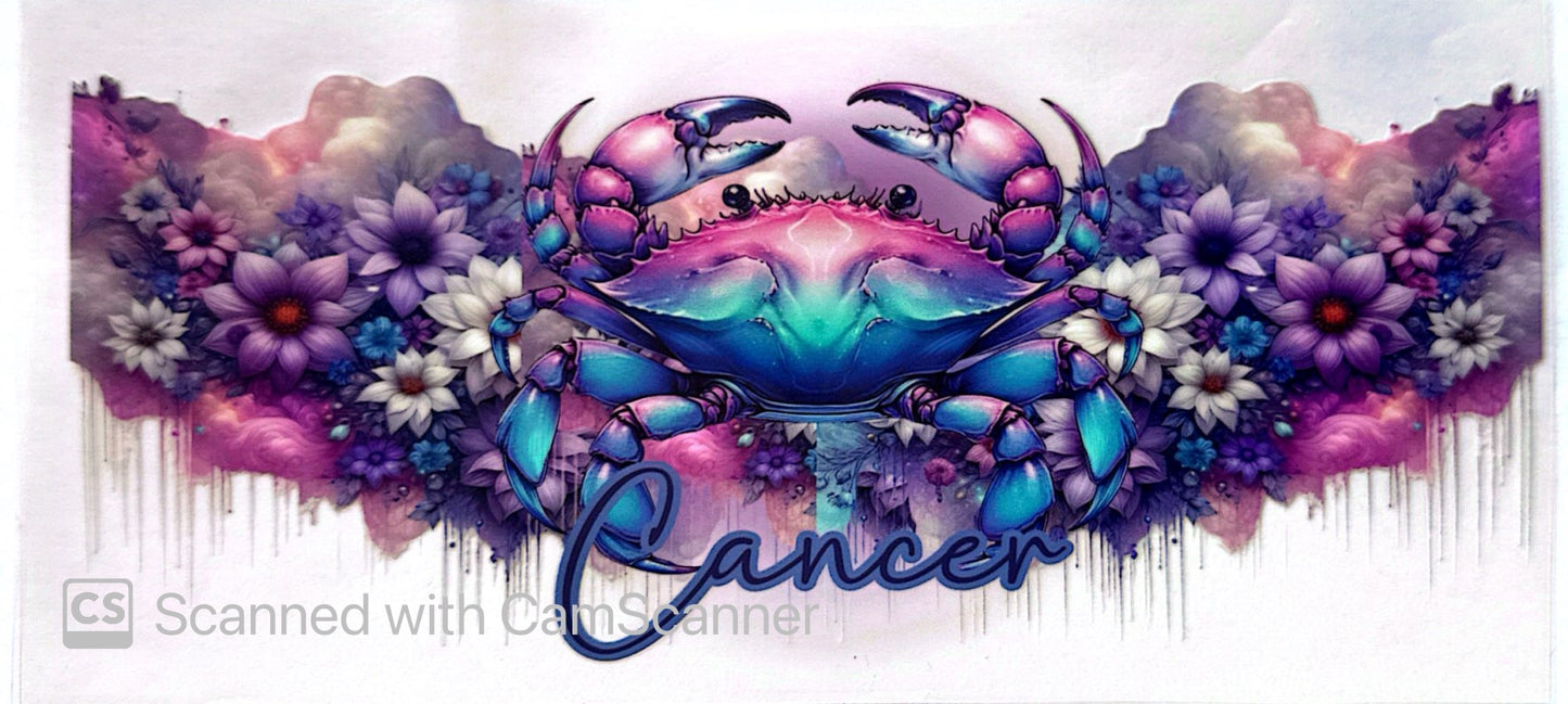 16oz Catalogue Design #461