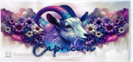 16oz Catalogue Design #479