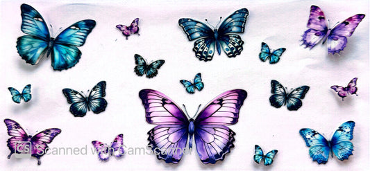 16oz Catalogue Design #526