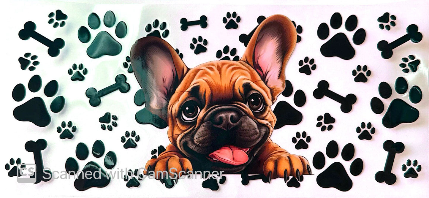 16oz Catalogue Design #362