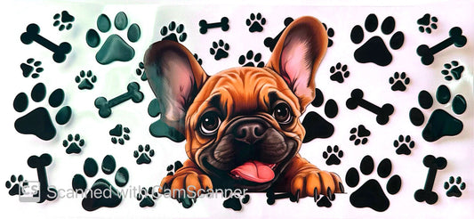 16oz Catalogue Design #362