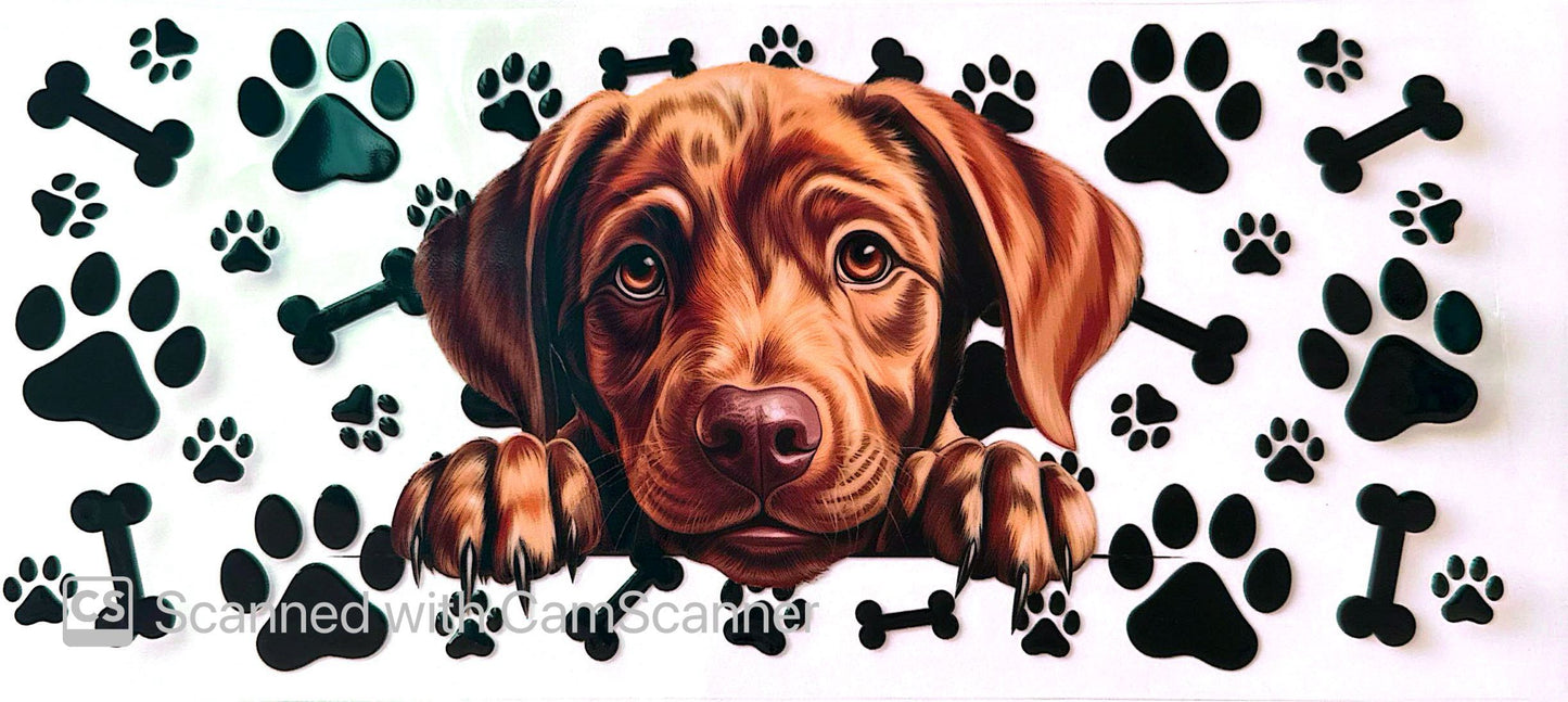 16oz Catalogue Design #361