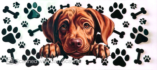 16oz Catalogue Design #361