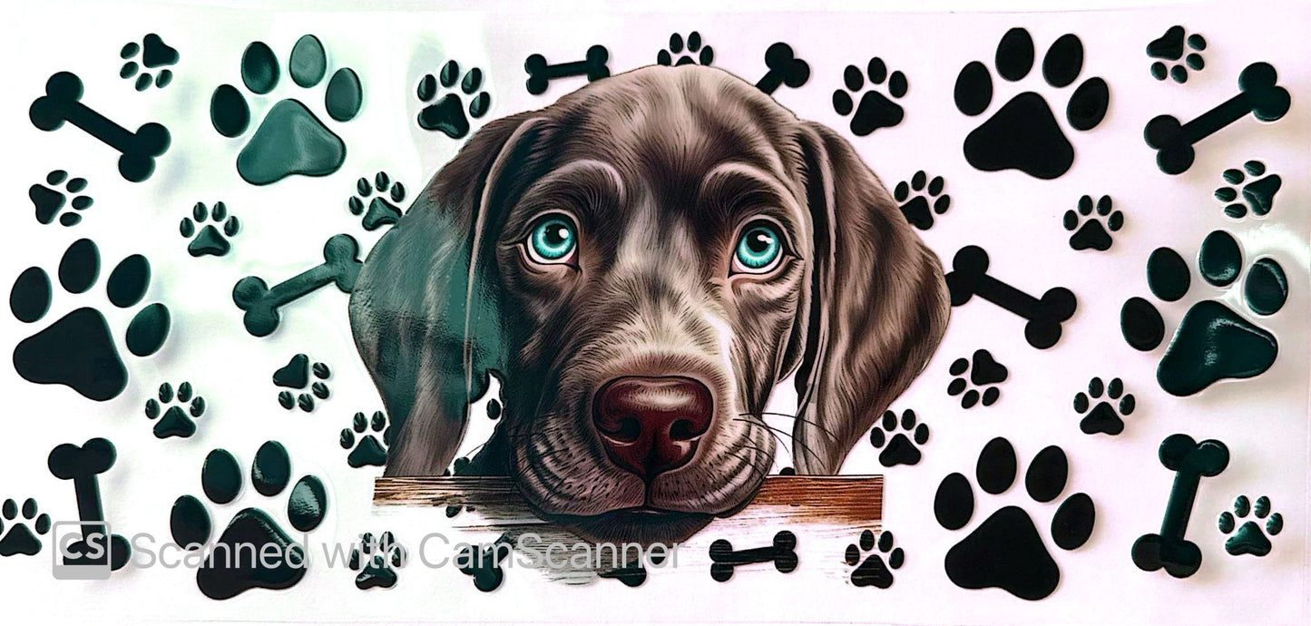 16oz Catalogue Design #360