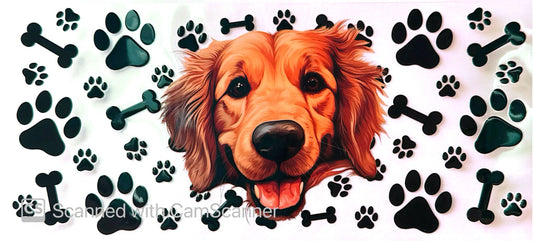 16oz Catalogue Design #359