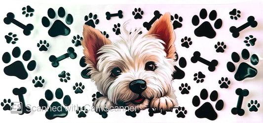 16oz Catalogue Design #358