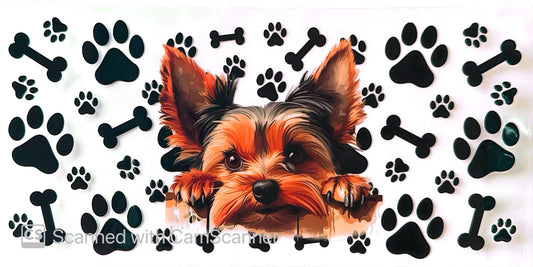 16oz Catalogue Design #357