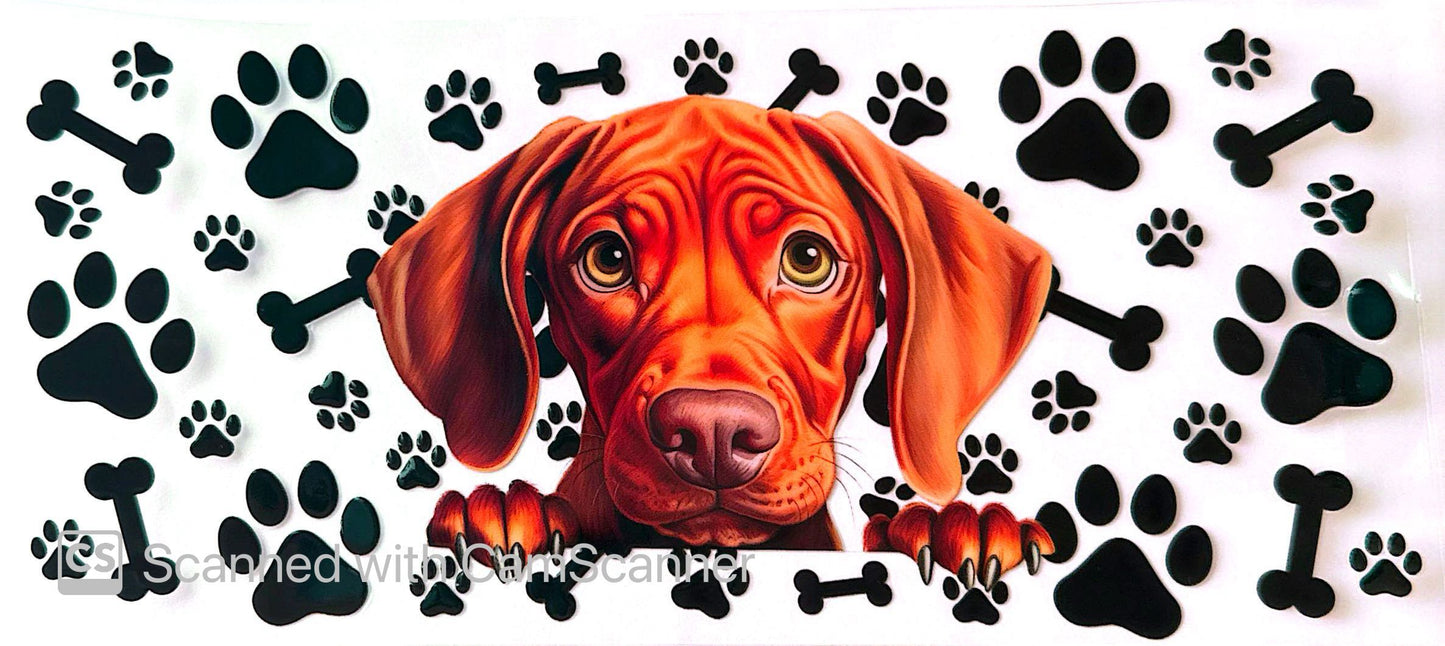 16oz Catalogue Design #356