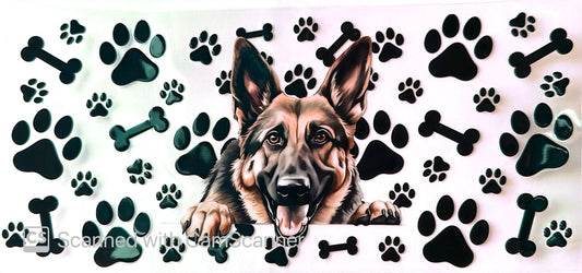 16oz Catalogue Design #354