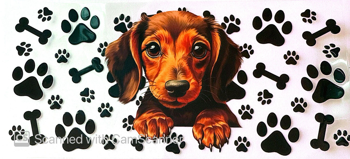 16oz Catalogue Design #353