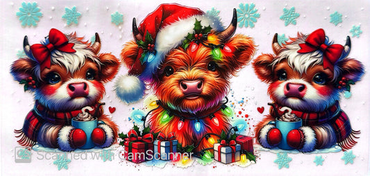 16oz Catalogue Design #499