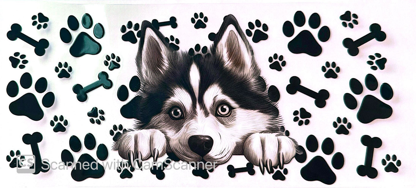 16oz Catalogue Design #366