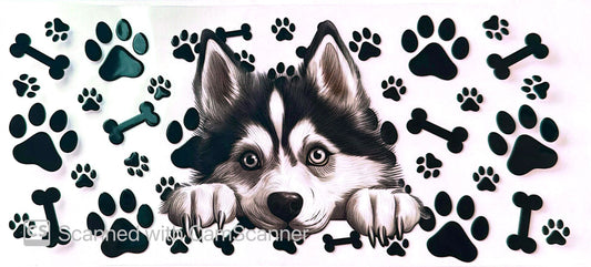 16oz Catalogue Design #366