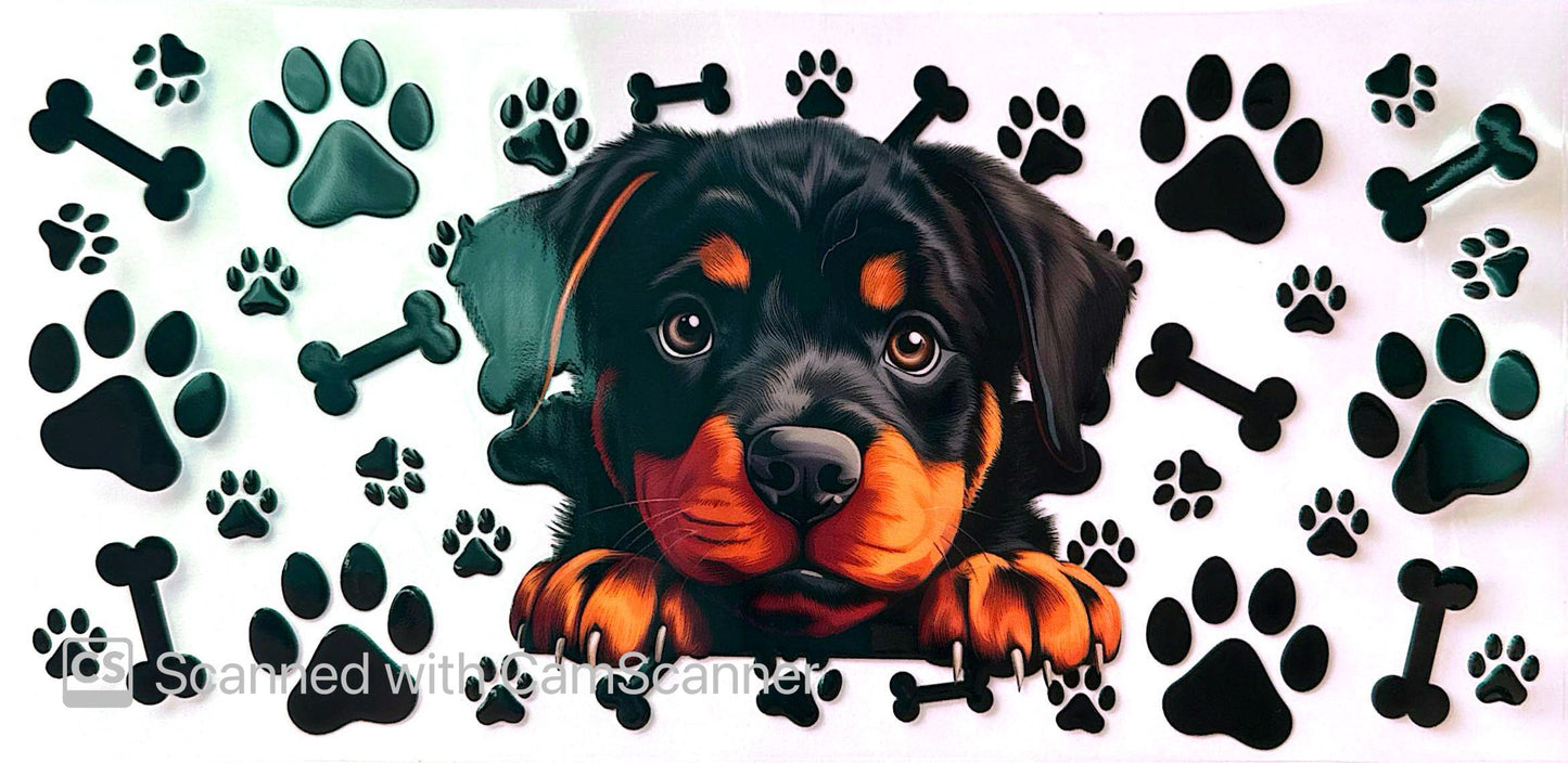 16oz Catalogue Design #364