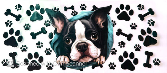 16oz Catalogue Design #363